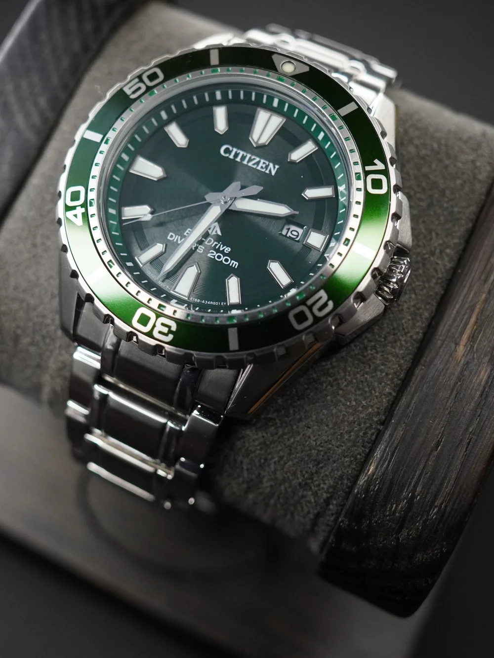 Citizen model reference